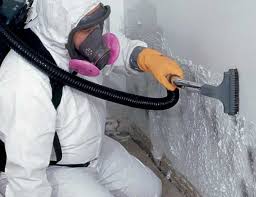 Best Environmental Consulting for Mold Prevention  in Prudhoe Bay, AK